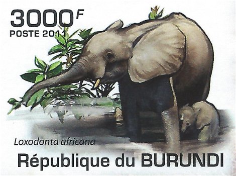 Postzegels Burundi - 2011 - Olifanten (Blok) - 5