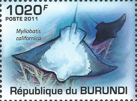 Postzegels Burundi - 2011 - Zeeleven (Blok) - 3