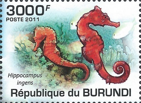Postzegels Burundi - 2011 - Zeeleven (Blok) - 4