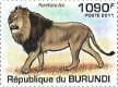 Postzegels Burundi - 2011 - Katachtigen (Blok) - 3 - Thumbnail