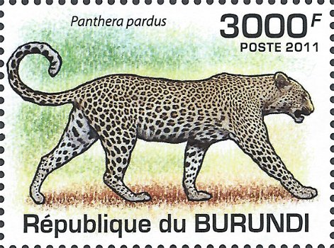 Postzegels Burundi - 2011 - Katachtigen (Blok) - 5