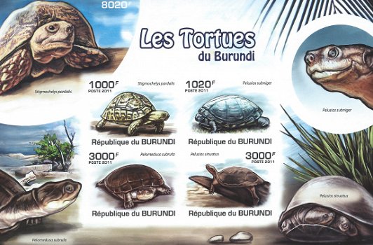 Postzegels Burundi - 2011 - Schildpadden (Blok) - 1