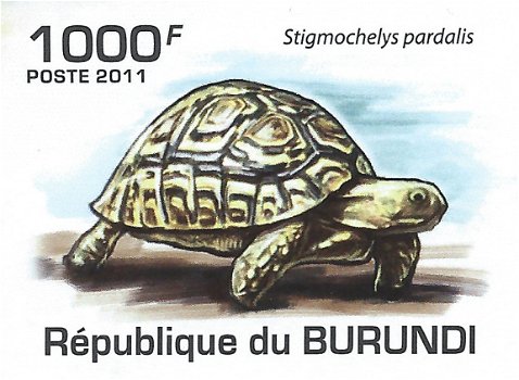 Postzegels Burundi - 2011 - Schildpadden (Blok) - 2