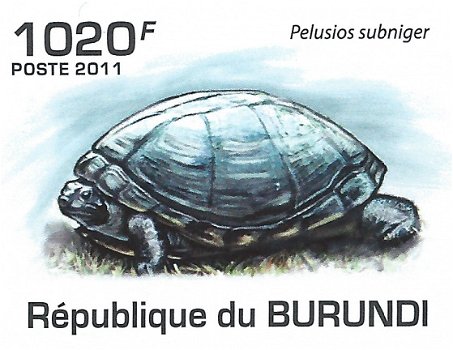 Postzegels Burundi - 2011 - Schildpadden (Blok) - 3