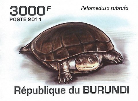 Postzegels Burundi - 2011 - Schildpadden (Blok) - 4