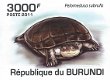 Postzegels Burundi - 2011 - Schildpadden (Blok) - 4 - Thumbnail