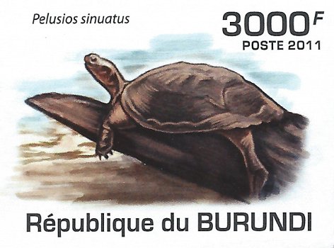 Postzegels Burundi - 2011 - Schildpadden (Blok) - 5