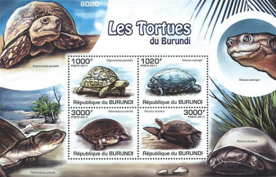 Postzegels Burundi - 2011 - Schildpadden (Blok) - 1