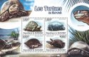 Postzegels Burundi - 2011 - Schildpadden (Blok) - 1 - Thumbnail