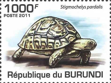 Postzegels Burundi - 2011 - Schildpadden (Blok) - 2
