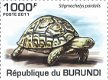 Postzegels Burundi - 2011 - Schildpadden (Blok) - 2 - Thumbnail