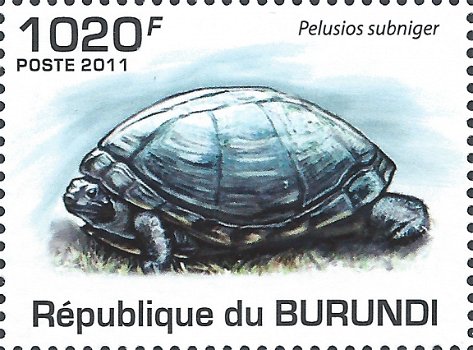 Postzegels Burundi - 2011 - Schildpadden (Blok) - 3