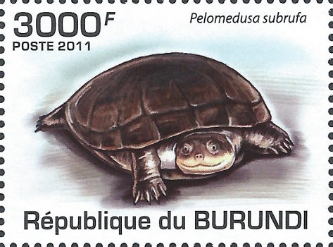 Postzegels Burundi - 2011 - Schildpadden (Blok) - 4
