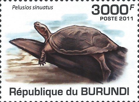 Postzegels Burundi - 2011 - Schildpadden (Blok) - 5