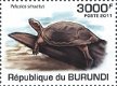 Postzegels Burundi - 2011 - Schildpadden (Blok) - 5 - Thumbnail