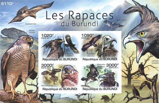 Postzegels Burundi - 2011 - Roofvogels (Blok) - 1