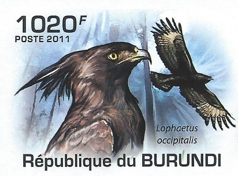 Postzegels Burundi - 2011 - Roofvogels (Blok) - 2