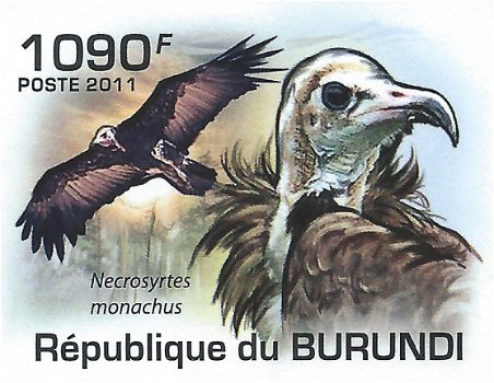 Postzegels Burundi - 2011 - Roofvogels (Blok) - 3