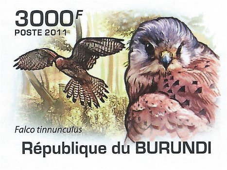 Postzegels Burundi - 2011 - Roofvogels (Blok) - 4