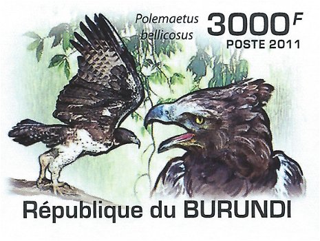 Postzegels Burundi - 2011 - Roofvogels (Blok) - 5
