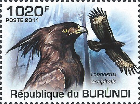 Postzegels Burundi - 2011 - Roofvogels (Blok) - 2
