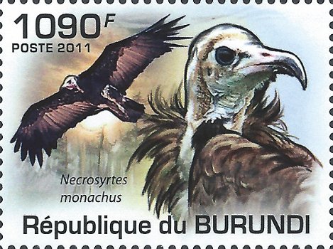 Postzegels Burundi - 2011 - Roofvogels (Blok) - 3