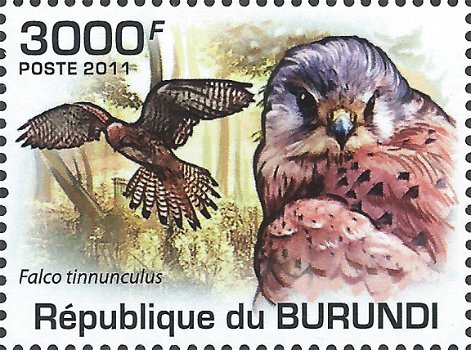 Postzegels Burundi - 2011 - Roofvogels (Blok) - 4