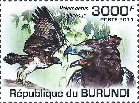 Postzegels Burundi - 2011 - Roofvogels (Blok) - 5