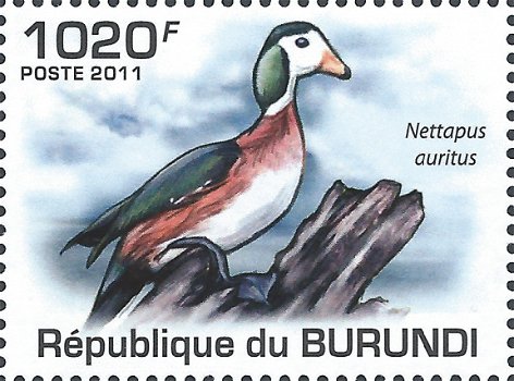 Postzegels Burundi - 2011 - Vogels (Blok) - 3