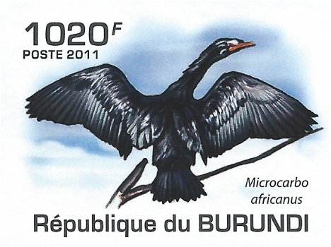 Postzegels Burundi - 2011 - Vogels (Blok) - 2