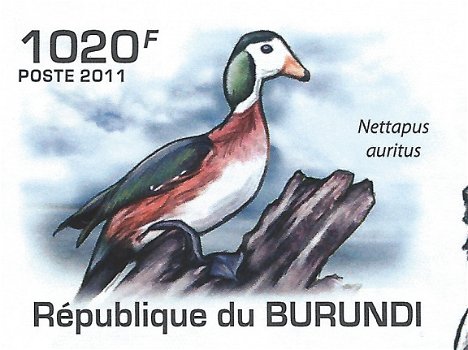 Postzegels Burundi - 2011 - Vogels (Blok) - 3