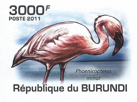 Postzegels Burundi - 2011 - Vogels (Blok) - 4