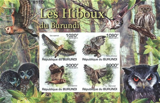 Postzegels Burundi - 2011 - Uilen (Blok) - 1