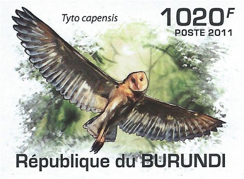 Postzegels Burundi - 2011 - Uilen (Blok) - 2