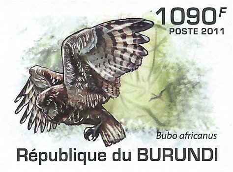 Postzegels Burundi - 2011 - Uilen (Blok) - 3