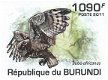 Postzegels Burundi - 2011 - Uilen (Blok) - 3 - Thumbnail