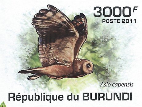 Postzegels Burundi - 2011 - Uilen (Blok) - 4