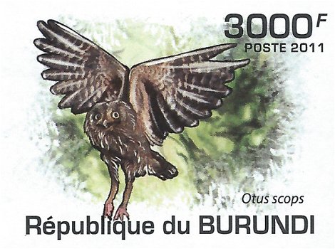 Postzegels Burundi - 2011 - Uilen (Blok) - 5