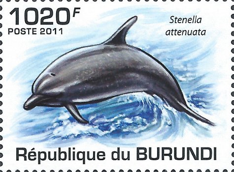 Postzegels Burundi - 2011 - Dolfijnen (Blok) - 3