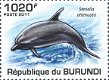 Postzegels Burundi - 2011 - Dolfijnen (Blok) - 3 - Thumbnail