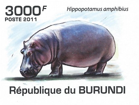 Postzegels Burundi - 2011 - Nijlpaarden (Blok) - 5