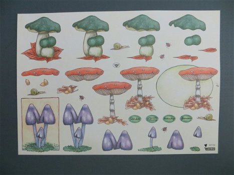 3D Knipvel (A4) --- PADDENSTOEL / PADDENSTOELEN --- WEKON W77192 --- DIVERSE SOORTEN - 1