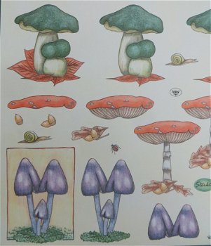 3D Knipvel (A4) --- PADDENSTOEL / PADDENSTOELEN --- WEKON W77192 --- DIVERSE SOORTEN - 2