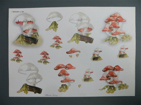 3D Knipvel (A4) --- PADDENSTOEL / PADDENSTOELEN --- WEKABO 583 --- DIVERSE SOORTEN - 1