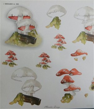 3D Knipvel (A4) --- PADDENSTOEL / PADDENSTOELEN --- WEKABO 583 --- DIVERSE SOORTEN - 2