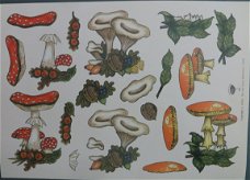 3D Knipvel (A4) --- PADDENSTOEL / PADDENSTOELEN ---  NEL van VEEN 2206 --- DIVERSE SOORTEN