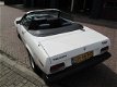 Triumph TR7 - CABRIOLET - 1 - Thumbnail