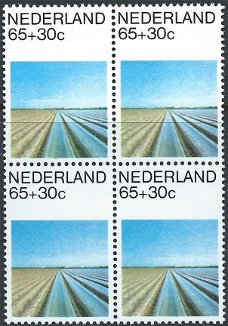 Postzegels Nederland - 1981 Zomerzegels, Nederlands landschap (65+30ct)