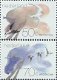 Postzegels Nederland - 1982. Waddengebied (serie) - 1 - Thumbnail