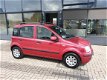 Fiat Panda - 1.2 Edizione Cool - 1 - Thumbnail